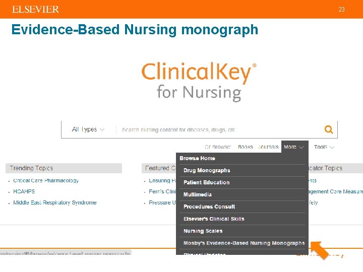 23 Evidence-Based Nursing monograph 