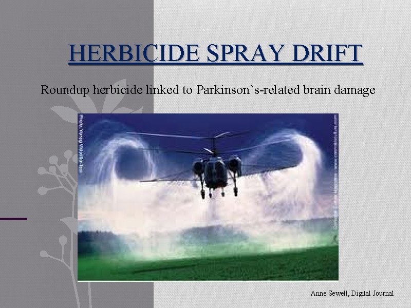 HERBICIDE SPRAY DRIFT Roundup herbicide linked to Parkinson’s-related brain damage Anne Sewell, Digital Journal