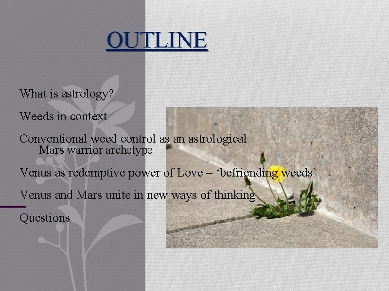 OUTLINE What is astrology? Weeds in context Conventional weed control as an astrological Mars