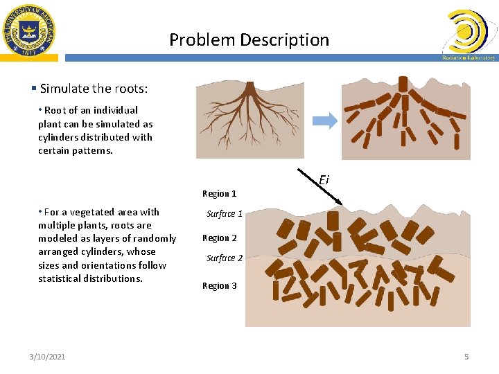 Problem Description § Simulate the roots: • Root of an individual plant can be
