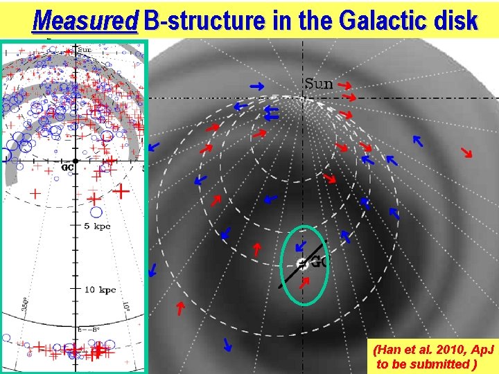 Measured B-structure in the Galactic disk (Han et al. 2010, Ap. J to be