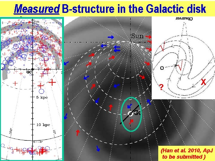 Measured B-structure in the Galactic disk √ √ ? X (Han et al. 2010,