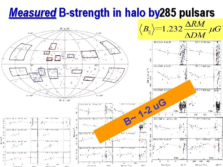 Measured B-strength in halo by 285 pulsars B~ G u 1 -2 