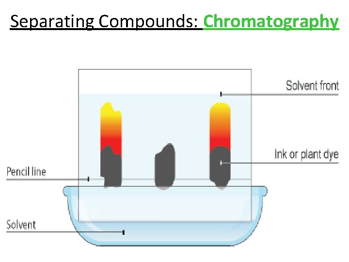 Separating Compounds: Chromatography 