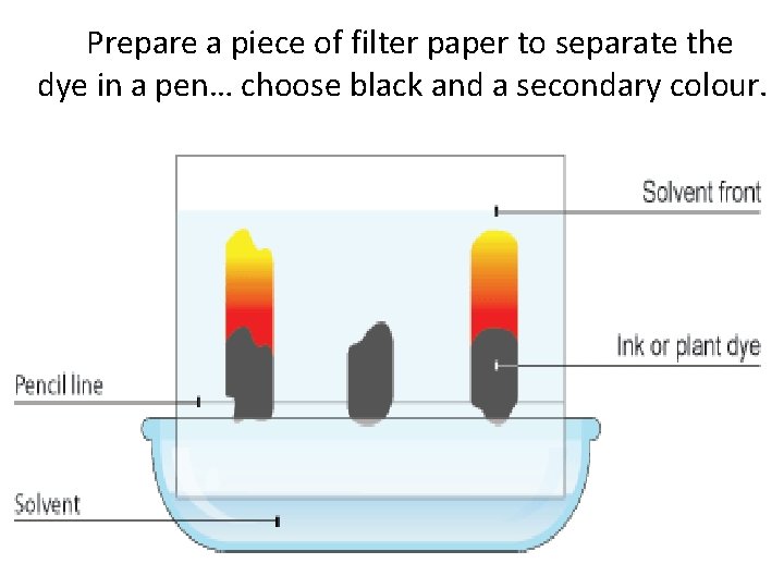 Prepare a piece of filter paper to separate the dye in a pen… choose