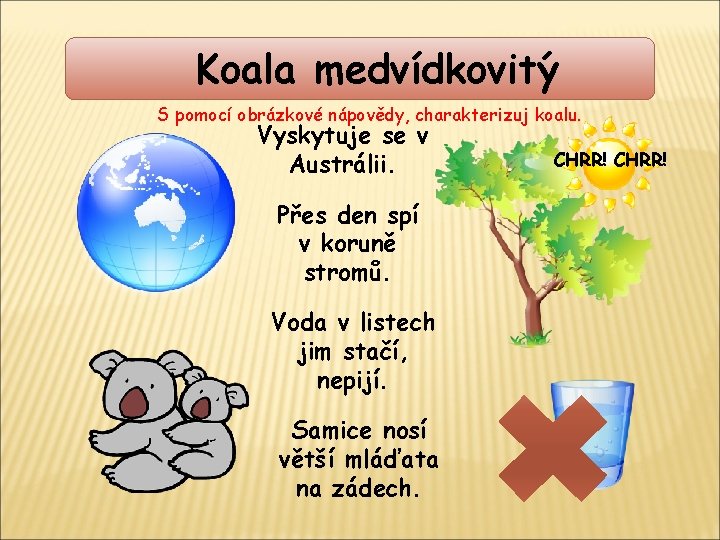 Koala medvídkovitý S pomocí obrázkové nápovědy, charakterizuj koalu. Vyskytuje se v Austrálii. Přes den