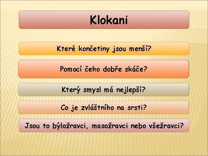 Klokani üpřední končetiny Které končetiny slabší a jsou kratší menší? üsilné zadní končetiny (pohyb