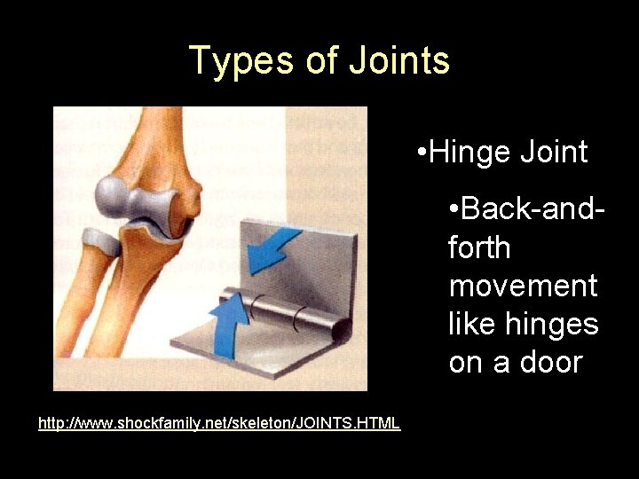 Types of Joints • Hinge Joint • Back-andforth movement like hinges on a door