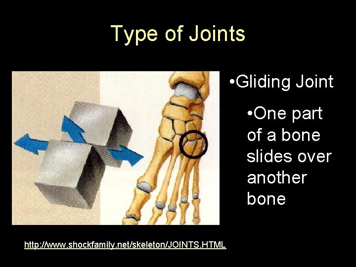 Type of Joints • Gliding Joint • One part of a bone slides over