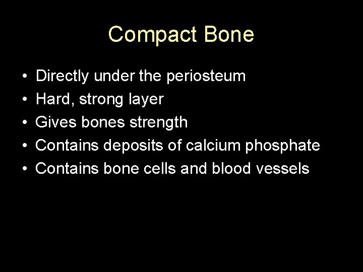 Compact Bone • • • Directly under the periosteum Hard, strong layer Gives bones