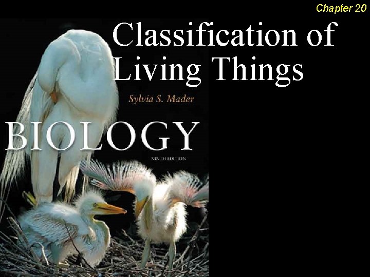 Chapter 20 Classification of Living Things 