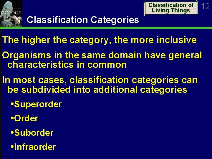 Classification of Living Things 12 Classification Categories The higher the category, the more inclusive