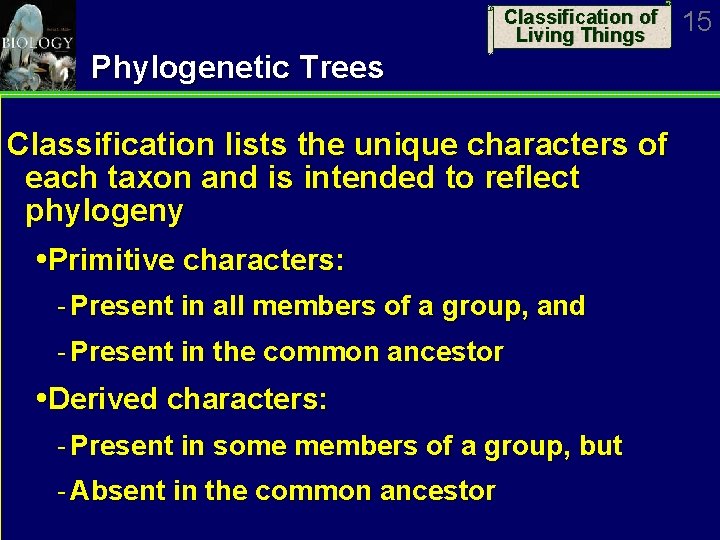 Classification of Living Things Phylogenetic Trees Classification lists the unique characters of each taxon