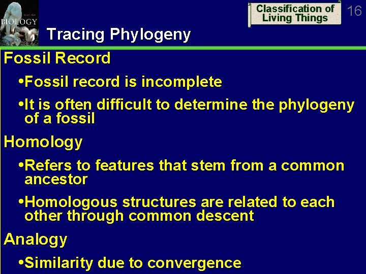 Classification of Living Things 16 Tracing Phylogeny Fossil Record Fossil record is incomplete It