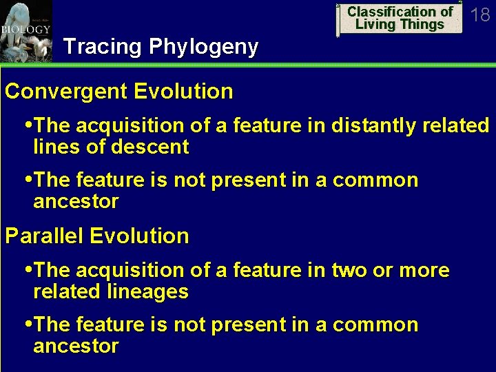 Classification of Living Things 18 Tracing Phylogeny Convergent Evolution The acquisition of a feature