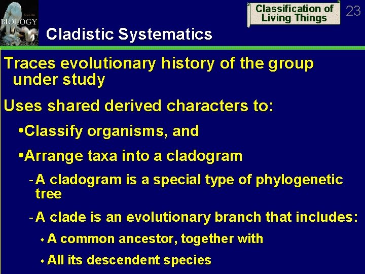 Classification of Living Things 23 Cladistic Systematics Traces evolutionary history of the group under