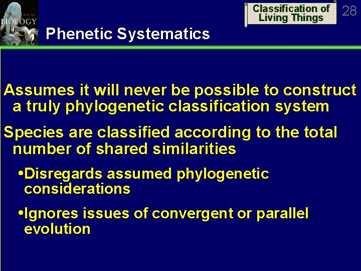 Classification of Living Things 28 Phenetic Systematics Assumes it will never be possible to