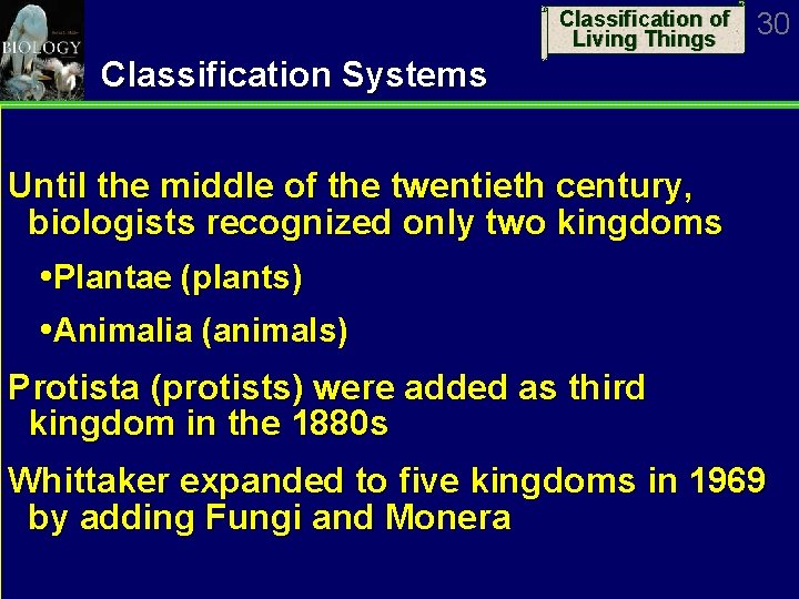 Classification of Living Things 30 Classification Systems Until the middle of the twentieth century,