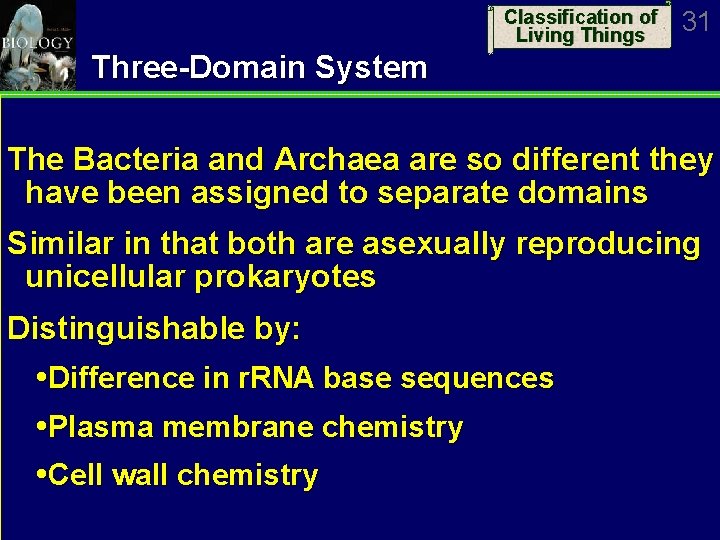 Classification of Living Things 31 Three-Domain System The Bacteria and Archaea are so different