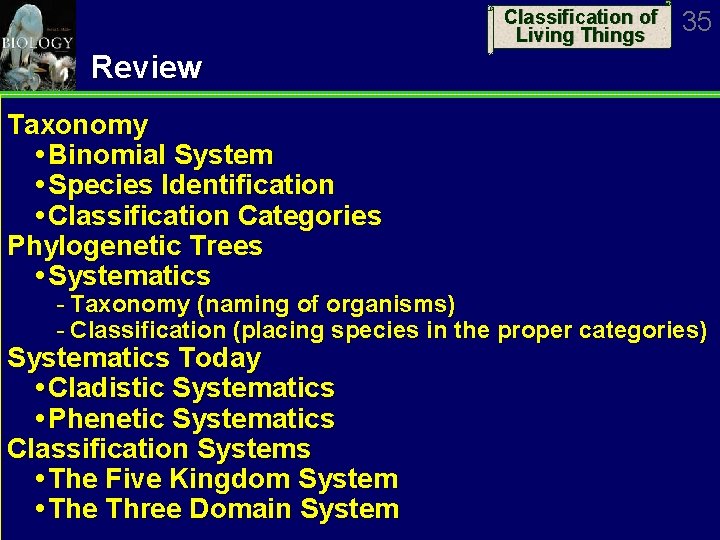 Classification of Living Things 35 Review Taxonomy Binomial System Species Identification Classification Categories Phylogenetic