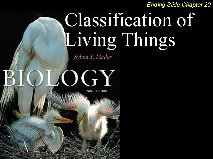 Ending Slide Chapter 20 Classification of Living Things 