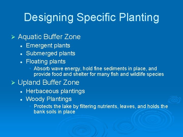 Designing Specific Planting Ø Aquatic Buffer Zone l l l Emergent plants Submerged plants