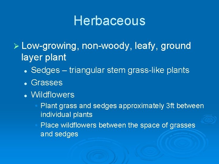 Herbaceous Ø Low-growing, non-woody, leafy, ground layer plant l l l Sedges – triangular