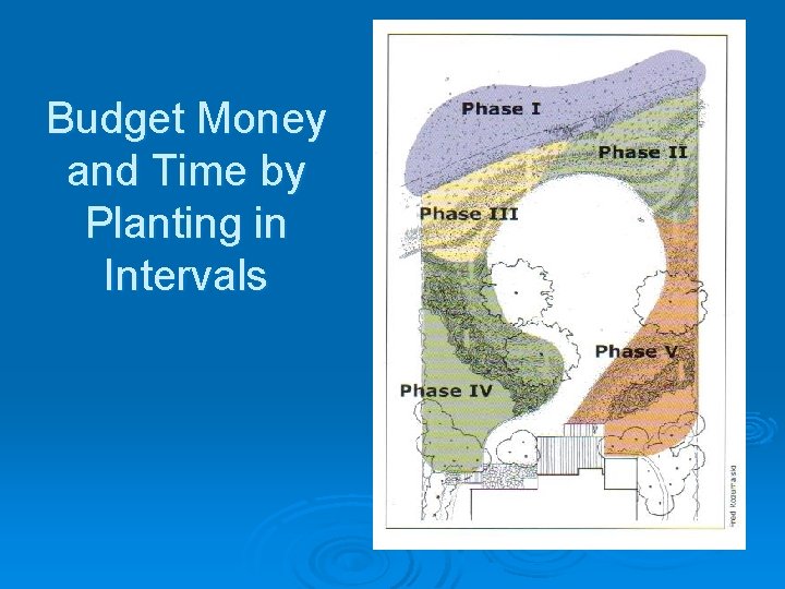 Budget Money and Time by Planting in Intervals 