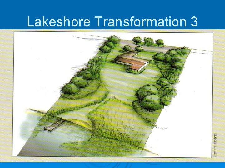 Lakeshore Transformation 3 