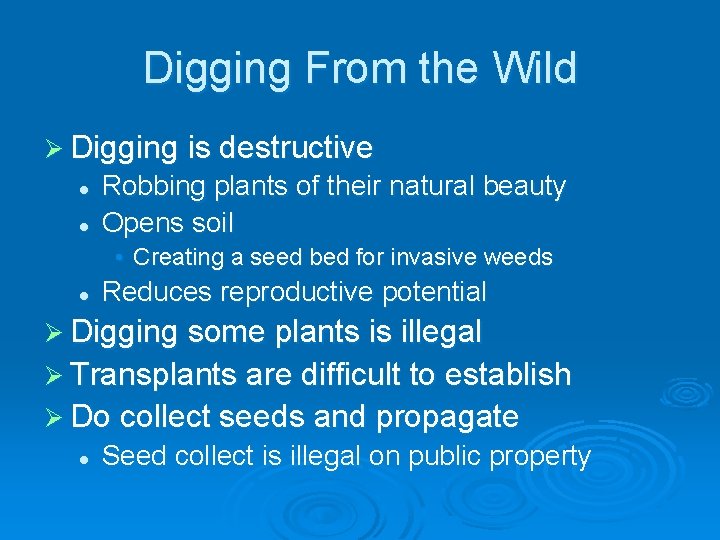 Digging From the Wild Ø Digging is destructive l l Robbing plants of their