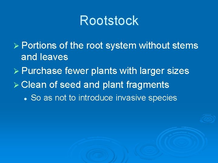 Rootstock Ø Portions of the root system without stems and leaves Ø Purchase fewer