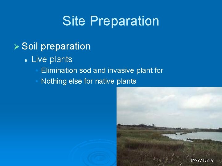 Site Preparation Ø Soil preparation l Live plants • Elimination sod and invasive plant