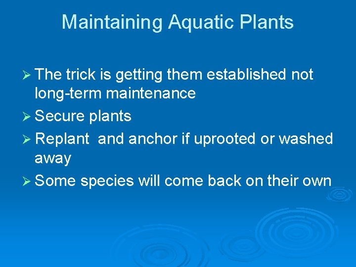 Maintaining Aquatic Plants Ø The trick is getting them established not long-term maintenance Ø