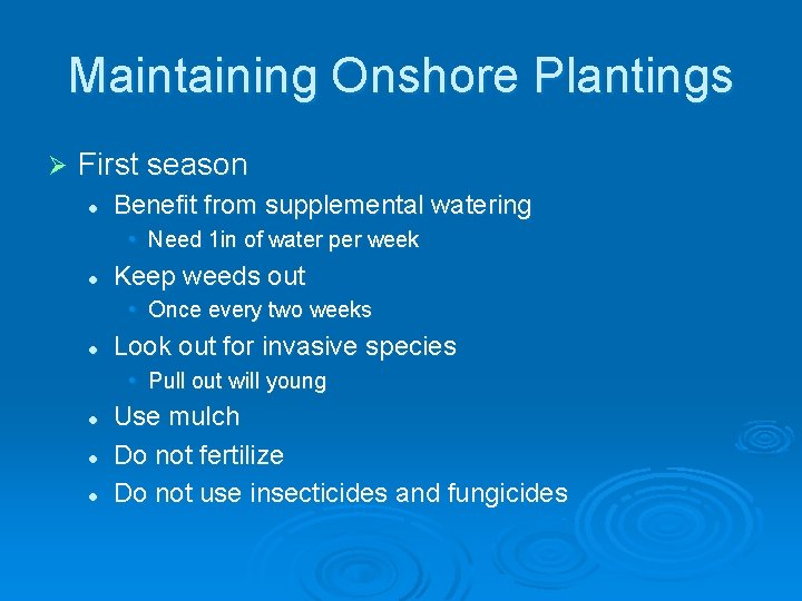 Maintaining Onshore Plantings Ø First season l Benefit from supplemental watering • Need 1