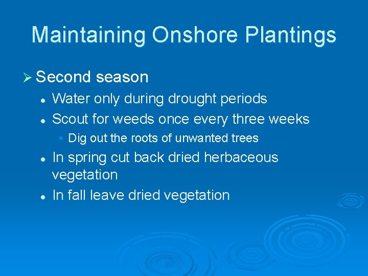 Maintaining Onshore Plantings Ø Second season l l Water only during drought periods Scout