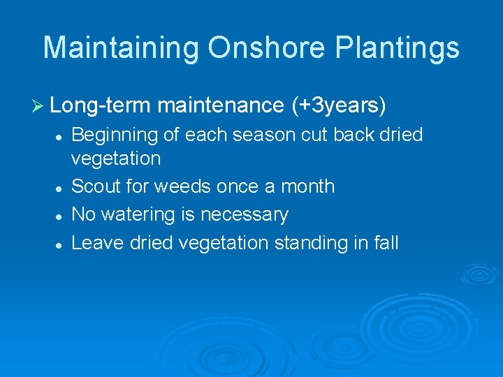 Maintaining Onshore Plantings Ø Long-term maintenance (+3 years) l l Beginning of each season