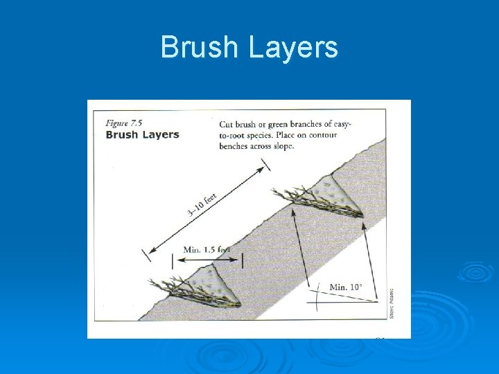 Brush Layers 