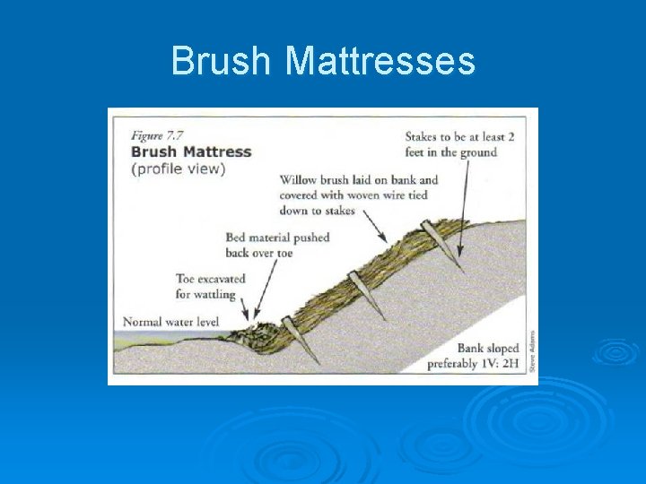 Brush Mattresses 
