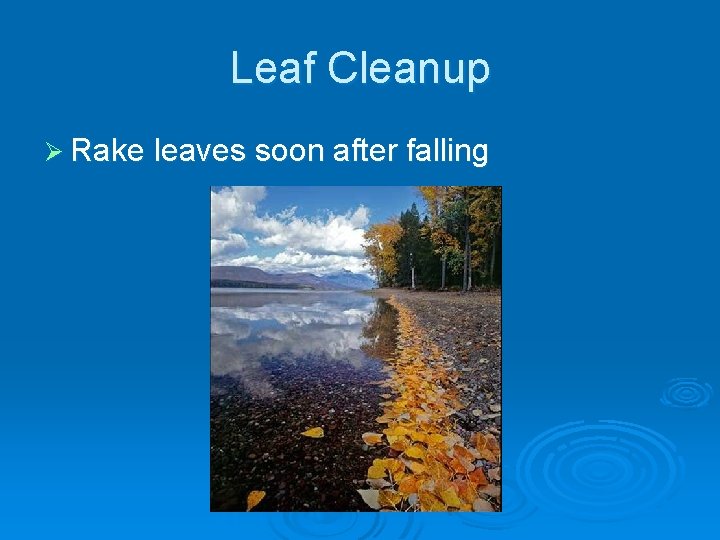 Leaf Cleanup Ø Rake leaves soon after falling 