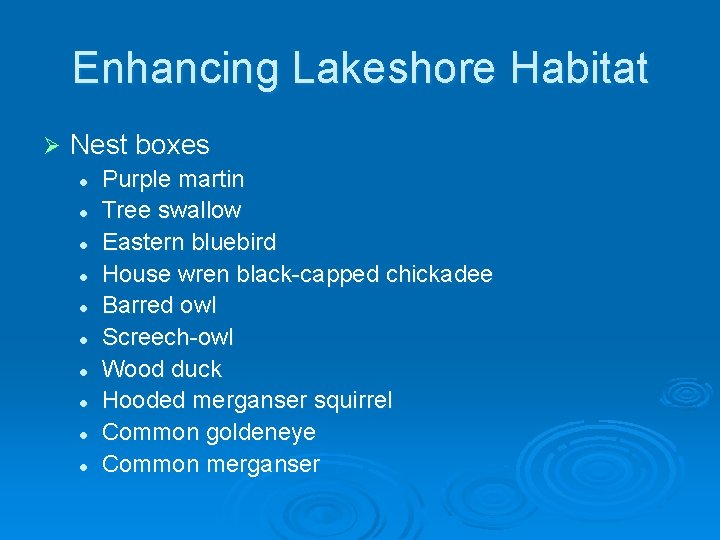 Enhancing Lakeshore Habitat Ø Nest boxes l l l l l Purple martin Tree