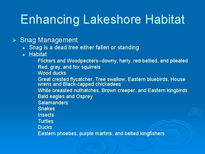 Enhancing Lakeshore Habitat Ø Snag Management l l Snag is a dead tree either