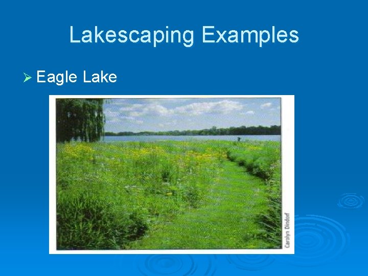 Lakescaping Examples Ø Eagle Lake 