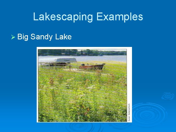 Lakescaping Examples Ø Big Sandy Lake 