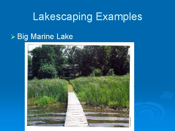 Lakescaping Examples Ø Big Marine Lake 