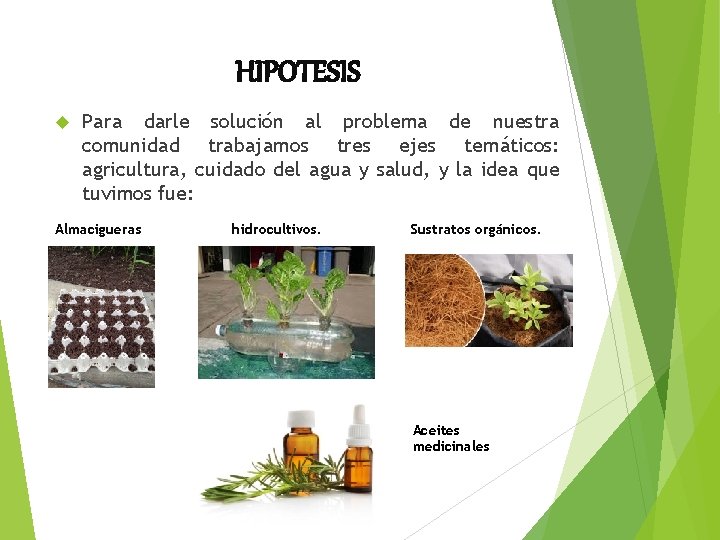 HIPOTESIS Para darle solución al problema de nuestra comunidad trabajamos tres ejes temáticos: agricultura,