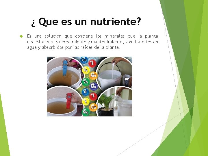 ¿ Que es un nutriente? Es una solución que contiene los minerales que la