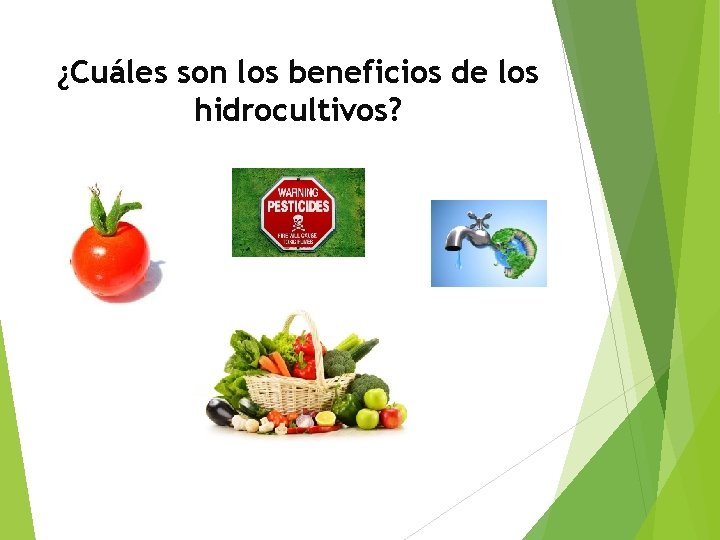 ¿Cuáles son los beneficios de los hidrocultivos? 