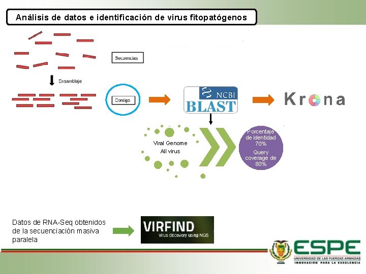 Análisis de datos e identificación de virus fitopatógenos Viral Genome All virus Datos de