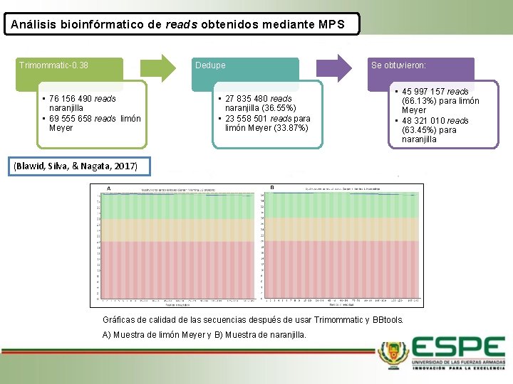 Análisis bioinfórmatico de reads obtenidos mediante MPS Trimommatic-0. 38 Dedupe • 76 156 490