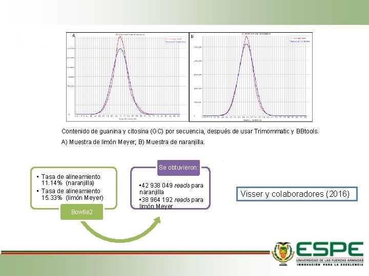 Contenido de guanina y citosina (GC) por secuencia, después de usar Trimommatic y BBtools.